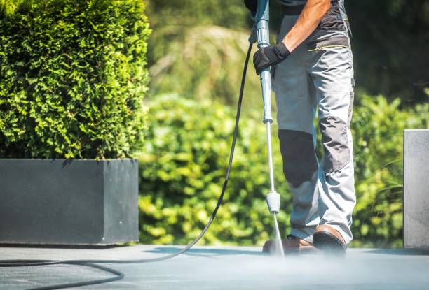 Best Roof Washing  in Point Venture, TX
